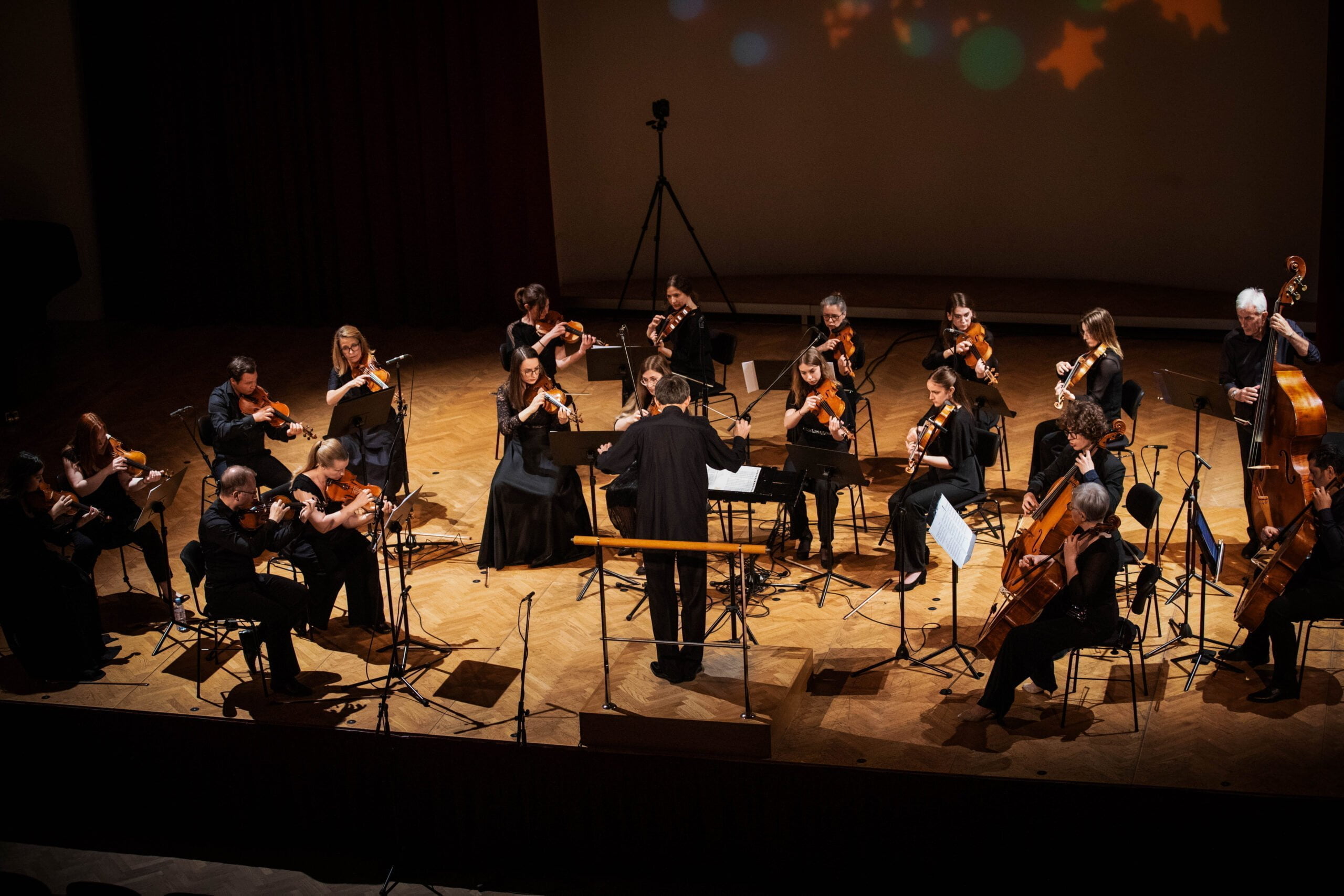 Maribor Chamber Orchestra,